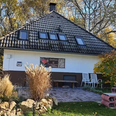 Waldhaus57 Silbersee By Interhome Frielendorf