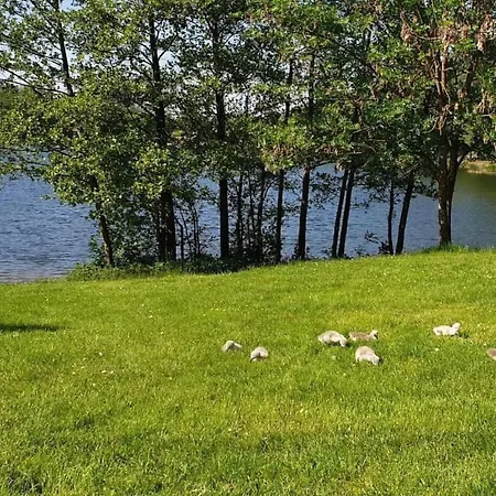 Waldhaus57 Silbersee By Interhome 펜션 *