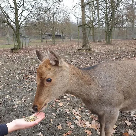 Waldhaus57 Silbersee By Interhome 펜션