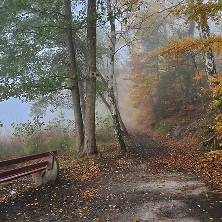 펜션 Waldhaus57 Silbersee By Interhome *