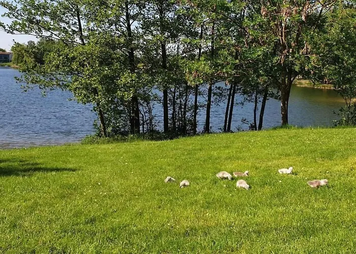 Waldhaus57 Silbersee By Interhome Hébergement de vacances *