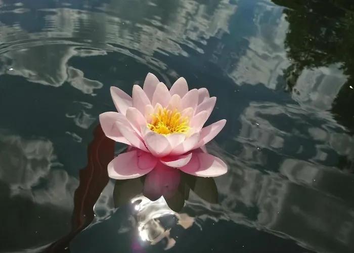 Waldhaus57 Silbersee By Interhome Hébergement de vacances *