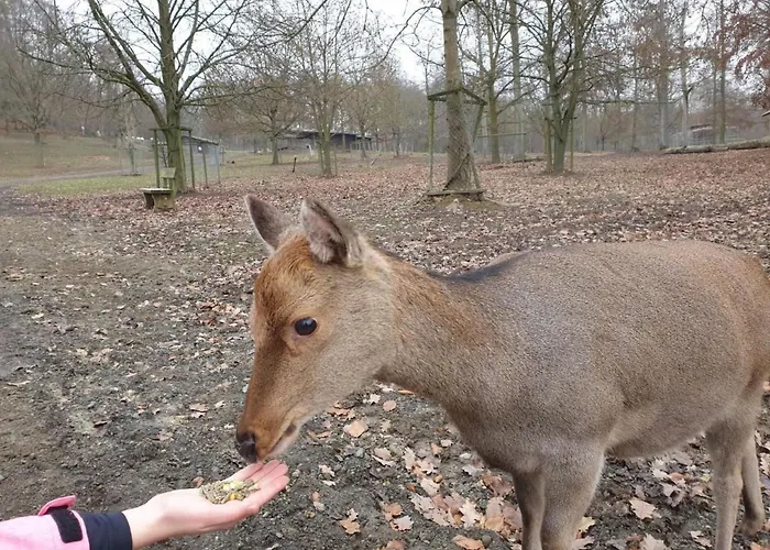 Waldhaus57 Silbersee By Interhome Hébergement de vacances